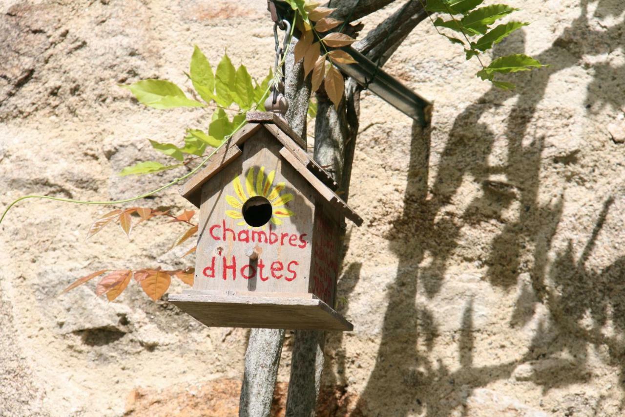 Domaine Les Teuilleres Bed and Breakfast Lacam-dʼOurcet Εξωτερικό φωτογραφία