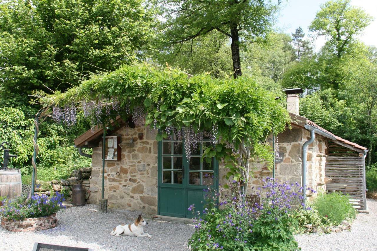 Domaine Les Teuilleres Bed and Breakfast Lacam-dʼOurcet Εξωτερικό φωτογραφία